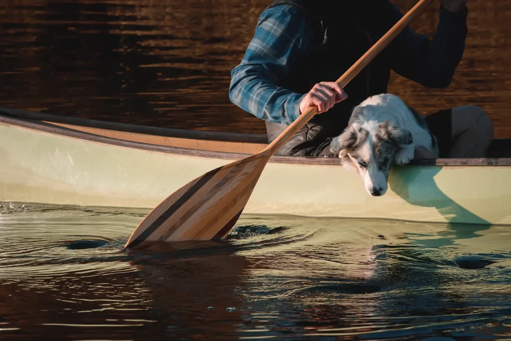 kayak with dog
