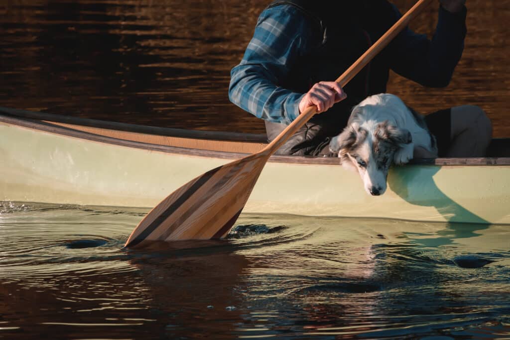 Man with dog in canoe