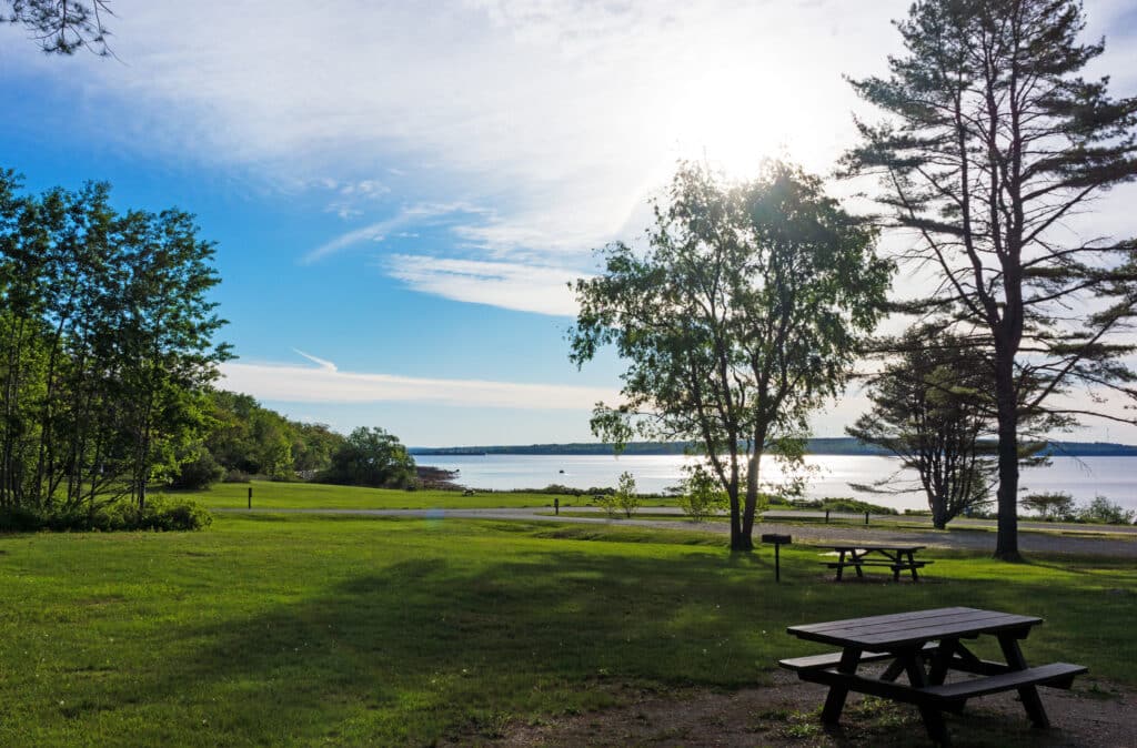 Park setting near the ocean in the early morning with picnic tables, trees and mowed grass